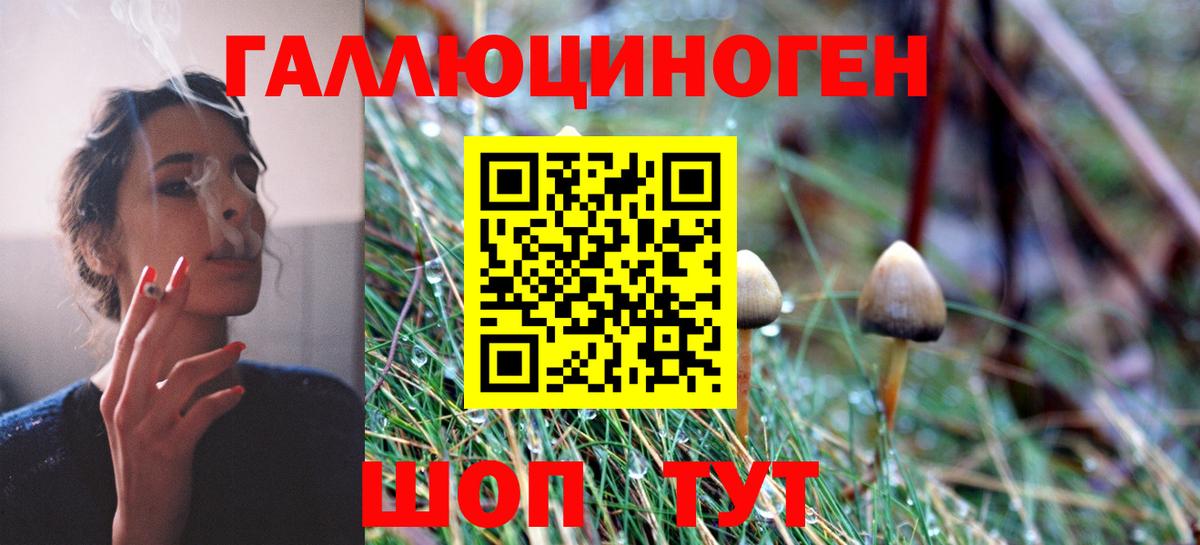 закладки  Галлюциногенные грибы мухоморы  Вход с VPN  Ахтубинск 